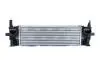 Інтеркулер BMW X3 (G01), X3 (G01, F97), X4 (G02, F98) 2.0D/2.0DH 08.17- NRF 309084 (фото 1)