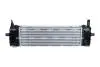 Інтеркулер BMW X3 (G01), X3 (G01, F97), X4 (G02, F98) 2.0D/2.0DH 08.17- NRF 309084 (фото 3)