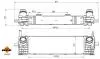 Інтеркулер BMW X3 (G01), X3 (G01, F97), X4 (G02, F98) 2.0D/2.0DH 08.17- NRF 309084 (фото 5)