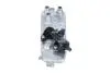 Радіатор масляний BMW 5 (F10, F18) 3.0i 10-/7 (F01, F02, F03, F04) 3.0/4.4i 08- N55/N63/N74 NRF 310056 (фото 1)