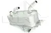 Радиатор масляный BMW 3 (E90) (N52/N53)/X1 (E84) (N20/N52) 04-13 (теплообменник) (АКПП)) NRF 31279 (фото 3)