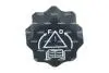 Крышка бачка расширительного Citroen Jumpy/Fiat Scudo/Peugeot Expert 1.9/2.0 JTD 98-06 NRF 455639 (фото 1)