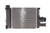 Радіатор інтеркулера NRF DSC_30379 (фото 1)
