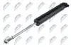 АМОРТИЗАТОР ПОДВЕСКИ ЗАД. | CITROЛN C4 PICASSO 13-,C5 AIRCROSS 18-,OPEL GRANDLAND 17-,PEUGEOT 3008 16-,5008 16- /L,P/ NTY ACT057 (фото 1)