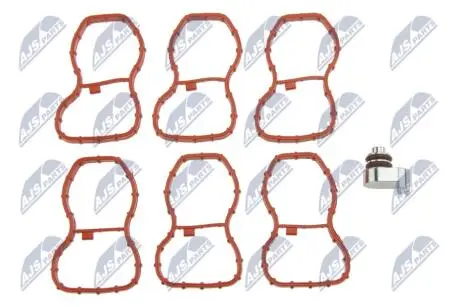 ПРОКЛАДКА ВПУСКНОГО КОЛЕКТОРУ | BMW 3 F30/F31 330D/335D 2012-,5 F10/F11 530D/535D/M550D 2010-,5 GT F07 535D 2012-,X3 F25 30D/35D 2011-,X4 F26 30D/35D 2014-,X5 F15 25D/30D/40D/M50D 2013- NTY BKSBM023