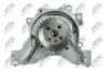 МАСЛЯНИЙ НАСОС | ENG. 1.4TSI VW GOLF V/VI, JETTA III/IV, PASSAT 07-, POLO 10-, TOURAN 06-, TIGUAN 07-, SHARAN 10-, AUDI A3 07-, A1 10-, SKODA OCTAVIA II 08, FABIA II 10-, RAPID 12-, SUPERB II 08, YETI 10-, SEAT IBIZA IV 09-, LEON 07- NTY BPOVW012 (фото 3)