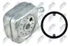 РАДІАТОР МАСЛЯНИЙ | AUDI A3 1.9TDI 1996-,A4 1.9TDI 1995-,SKODA OCTAVIA 1.9TDI 1996-,VW GOLF IV 1.9TDI 1997- NTY CCLAU000 (фото 2)