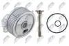 РАДІАТОР МАСЛЯНИЙ | ENG 1.4 16V VW POLO 9N 01-09, VW LUPO 98-05, SKODA FABIA I 99-08, SEAT IBIZA III 6L1 02-09, SEAT CORDOBA 6L2 02-09, SEAT AROSA 00-04 NTY CCLVW019 (фото 2)