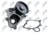 НАСОС РІДИНИ СИСТЕМИ ОХОЛОДЖЕННЯ | BMW 3 325D, 335D 06-, 5 525D 04-, X3 3.0SD 06- NTY CPWBM030 (фото 2)