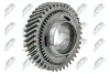 Шестерня КПП | CITREON JUMPER 2002-2006-,FIAT DUCTO 2002-2006-,PEUGEOT BOXER 2002-2006-/KOЈO 2 BIEGU,ILOЊЖ ZКBУW: 41,TYP SKRZYNI:MLGU/ NTY EATCT000 (фото 2)