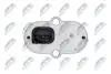 ДАТЧИК КУТА ПОВОРОТУ | FORD FOCUS II 2004-,FOCUS C-MAX 2003-,C-MAX 2007-,KUGA I 2008-/TYLKO SILNIKI 2.0TDCI,2.0,2.5T/ NTY ECKFR000 (фото 5)