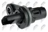 ДАТЧИК ПОЛОЖЕННЯ ВАЛУ | BMW 1 116I,118I,120I,130I 2006-,3 316I,318I,320I,323I,325I,330I,335I 2005-,5 520I,523I,525I,530I,540I 2006- NTY ECPBM005 (фото 2)