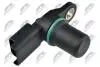 ДАТЧИК ПОЛОЖЕННЯ ВАЛУ | NISSAN X-TRIAL T31 2.0DCI 2007-,QASHQAI 2.0DCI 2007-,RENAULT LAGUNA II 2.0DCI 2005-,LAGUNA III 2.0DCI 2007-,MEGANE III 1.9DCI,2.0DCI 2008- NTY ECPNS016 (фото 1)