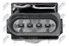 КОТУШКА ЗАПАЛЮВАННЯ | VW SHARAN 2.8 V6 2000.04-,GOLF IV 2.3 V5,2.8 V6 2000.10-,SEAT ALHAMBRA 2.8 V6 2000.06- NTY ECZVW016 (фото 5)