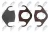 ПРОКЛАДКА КЛАПАНУ EGR | BMW 1 E81/E82/E87/E88 116D,118D,120D,123D,3 E90/E91,E92/E93 316D,318D,320D,320XD,325D,330D,330XD,5 E60/E61 530D,535D,5GT F07 530D,535D,5 F10/F11 525D,530D,535D,X1 E84 18D,20D,X3 E83 1.8D,2.0D,X5 E70 30DX,40DX,X6 E71 30DX NTY EGRBM022 (фото 1)