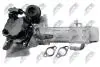 КЛАПАН EGR | FORD FOCUS 2.0TDCI 2011-,MONDEO 2.0TDCI 2010-,S-MAX 2.0TDCI 2010-,PEUGEOT 308 2.0HDI 2011-,508 2.0HDI 2010- NTY EGRFR009 (фото 5)