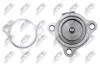 КЛАПАН EGR | NISSAN PRIMERA P12 1.9DCI 03-,RENAULT MEGANE 1.9DCI 02- NTY EGRNS002 (фото 7)