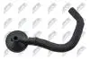 КЛАПАН ВЕНТИЛЯЦІЇ КАРТЕРА | RENAULT CLIO II 1.5DCI 2001-,KANGOO 1.5DCI 2001-,THALIA 1.5DCI 2001-,THALIA II 1.5DCI 2009-,DACIA LOGAN 1.5DCI 2005-,SANDERO 1.5DCI 2008- NTY EPCVRE001 (фото 4)