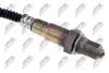 ЛЯМБДА-ЗОНД | ALFA ROMEO 147 1.6TS,2.0TS 2001-,156 1.6TS,1.8TS,2.0TS 2000-/DIAGNOSTYCZNA/ NTY ESLAR003 (фото 2)
