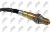 ЛЯМБДА-ЗОНД | HYUNDAI ATOS 1.0 2000-,ATOS PRIME 1.0 2000-,I10 1.1 2007-,KIA PICANTO 1.0,1.1 2004-/REGULACYJNA/ NTY ESLHY502 (фото 2)
