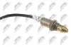 ЛЯМБДА-ЗОНД | ENG. 1.5-2.5 VOLVO S60 II 13-18,S80 II 06-14,S90 II 16-,XC60 13-,XC70 II 13-16,XC90 II 14-/REGULACYJNA, DLA KATALIZATORA WSTКPNEGO, DЈ.KABLI 515MM NTY ESLVV001 (фото 2)