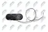 РУЧКА КРИШКИ БАГАЖНИКА | CHRYSLER TOWN&COUNTRY 2003-,VOYAGER 2003-,DODGE GRAND CARAVAN 2003-,CARAVAN 2003- NTY EZCCH038 (фото 3)