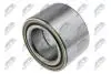 ПІДШИПНИК СТУПИЦІ | LEXUS GS300 -12.04,GS400 -06.00,GS430 -12.04,IS200/IS300 -11.2005 NTY KLTTY044 (фото 1)