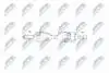 ПІВВІСЬ | NISSAN QASHQAI 2.0I 16V 4WD 06- /ЛІВ, ATM/ NTY NPWNS055 (фото 1)