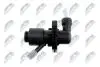 ЦИЛІНДР ЗЧЕПЛЕННЯ | OPEL AGILA 2000-,ANTARA 2006-,ASTRA 2004-,CORSA 2001-,MERIVA 2004-,SIGNUM 2003-,TIGRA 2006-,VECTRA 2007-,ZAFIRA 2006-,FORD FIESTA 2002-,FUSION 2002-,MAZDA 2 2002-,HONDA CIVIC 1.8 I-SHIFT 2006- NTY NSPPL006 (фото 3)