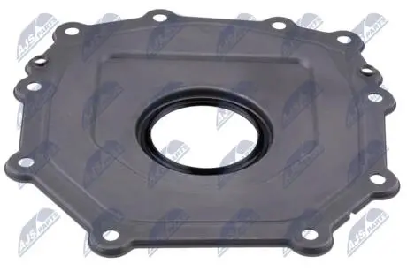 САЛЬНИК ВАЛУ | ENG 2.5 VOLKSWAGEN PASSAT B7 2013-, GOLF 09-14, BEETLE 06-19, JETTA 09-14, AUDI A3 2011-, Q3 14-18, TT 10-14 NTY NUPVW017