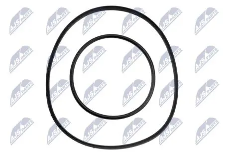 РЕМКОМПЛЕКТ ВАКУУМНОГО НАСОСУ | BMW 1 E81/E87 118/120 2004-,3 E46 316/318 2001-,3 E90/E91 318/320 2005-,5 E60 520 2007-,X3 E83 2.0 2005- NTY PVPBM000