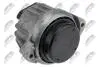 ПОДУШКА ДВИГУНА | ENG.1.6,1.8,2.0 BMW 1 E81/82/87/88 04-13, 3 E90/91/92/93 05-13, X1 E84 10-15, Z4 E89 11-16 /ПРАВ/ NTY ZPSBM006 (фото 2)