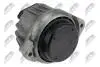 ПОДУШКА ДВИГУНА | ENG.1.6D,2.0D BMW 1 E81/82/87/88 04-13, 3 E90/91/92/93 05-13, X1 E84 09-15, Z4 E89 11-16 /ПЕРЕД/ NTY ZPSBM009 (фото 2)