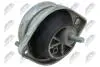 ПОДУШКА ДВИГУНА | BMW 5 (E39) 1995 - 2004 535I - 173 KW/235 HP, 535I - 180 KW/245 HP, 535I - 210 KW/286 HP / ЛІВ / NTY ZPSBM017 (фото 1)