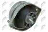 ПОДУШКА ДВИГУНА | BMW 5 (E39) 1995 - 2004 535I - 173 KW/235 HP, 535I - 180 KW/245 HP, 535I - 210 KW/286 HP / ПРАВ / NTY ZPSBM018 (фото 1)