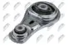 ПОДУШКА ДВИГУНА | OPEL VIVARO A 2000 - 2014, RENAULT TRAFIC II 2001 - 2014 2.5 CDTI 16V - 84 KW / 114 HP, 2.0 16V - 86 KW / 117 HP /ПЕРЕД, НИЗ / NTY ZPSPL088 (фото 2)