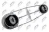 ПОДУШКА ДВИГУНА | RENAULT LOGAN/LOGAN EXPRESS 1.4,1.6,1.5DCI 05-, SANDERO 1.5DCI,1.6 08-, MEGANE II 1.4,1.6,1.5DCI 02-08, SCENIC II 1.4,1.6 03-09, GRAND SCENIC 1.6 04- /ЗАД/ NTY ZPSRE001 (фото 2)