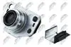 ПОДУШКА ДВИГУНА | RENAULT CLIO II 1.2,1.4,1.6,1.9D 98-05, KANGOO 1.4,1.6,1.9D 96- THALIA 1.4,1.6,1.9D 98- /ПРАВ/ NTY ZPSRE039 (фото 2)