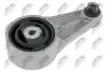 ПОДУШКА ДВИГУНА | RENAULT MEGANE I 1.9D/DT/DTI/TDI/DCI,2.0 96-03, CLIO 1.8 -98 /ЗАД/ NTY ZPSRE083 (фото 1)