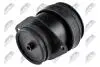 ПОДУШКА ДВИГУНА | VW GOLF III 91-97, CADDY II 1.4 95-04, SEAT CORDOBA 1.0,1.4,1.6 93-99, IBIZA III 1.0,1.3,1.4,1.6 93-99, INCA 1.4,1.6 95-03 /ЗАД/ NTY ZPSVW026 (фото 2)