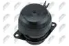 ПОДУШКА ДВИГУНА | VW CADDY II 1.6,1.9D/SDI 95-04,POLO 1.0,1.4,1.4TDI,1.9D/SDI -01,GOLF III/VENTO 1.4,1.6,1.8,1.9D/SDI/TD/TDI,2.0 91-97,SEAT IBIZA II/CORDOBA 1.4,1.6,1.8,1.9D/TD,2.0 -02 /ЗАД/ NTY ZPSVW117 (фото 1)