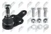 ШАРОВА ОПОРА ПІДВІСКИ | FORD FOCUS II 04-08, C-MAX 07-, VOLVO S40 II/V50 04-, C70 06-, C30 /ПЕРЕД НИЗ/ NTY ZSDFR002 (фото 1)