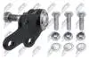 ШАРОВА ОПОРА ПІДВІСКИ | FORD FOCUS II 04-08, C-MAX 07-, VOLVO S40 II/V50 04-, C70 06-, C30 /ПЕРЕД НИЗ/ NTY ZSDFR002 (фото 2)