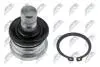 ШАРОВА ОПОРА ПІДВІСКИ | HYUNDAI SANTA FE I/II BB 00-06, CM 06-09, XM 09-13, TRAJET 00-06, SANTAMO 98-02, KIA SORENTO I/II 02-09-15 /ПЕРЕД НИЗ/ NTY ZSDHY513 (фото 1)