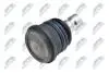 ШАРОВА ОПОРА ПІДВІСКИ | KIA SOUL I 09-14, PICANTO 11-, RIO III/IV 11-17-, STONIC 17-, HYUNDAI I10 II 13-, I20 I/II 08-14- /ПЕРЕД НИЗ/ NTY ZSDKA315 (фото 2)