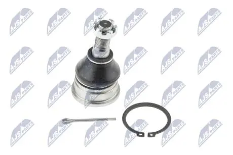 ШАРОВА ОПОРА ПІДВІСКИ | NISSAN PRIMERA P12 01-, MAXIMA A33 00-06, ALMERA TINO 98- /ПЕРЕД НИЗ/ NTY ZSDNS025
