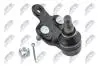 ШАРОВА ОПОРА ПІДВІСКИ | TOYOTA CAMRY ACV3#/MCV3# 01-06, SIENNA 03-, PREVIA 2.4I, 2.4TDI 16V 00.02-, HIGHLANDER 00-07 /ПЕРЕД НИЗ ПРАВ/ NTY ZSDTY045 (фото 1)