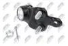 ШАРОВА ОПОРА ПІДВІСКИ | TOYOTA CAMRY ACV3#/MCV3# 01-06, SIENNA 03-, PREVIA 2.4I, 2.4TDI 16V 00.02-, HIGHLANDER 00-07 /ПЕРЕД НИЗ ПРАВ/ NTY ZSDTY045 (фото 2)