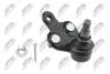 ШАРОВА ОПОРА ПІДВІСКИ | TOYOTA CAMRY ACV3#/MCV3# 01-06, SIENNA 03-, PREVIA 2.4I, 2.4TDI 16V 00.02-, HIGHLANDER 00-07 /ПЕРЕД НИЗ ЛІВ/ NTY ZSDTY050 (фото 1)