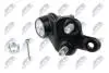 ШАРОВА ОПОРА ПІДВІСКИ | TOYOTA CAMRY ACV3#/MCV3# 01-06, SIENNA 03-, PREVIA 2.4I, 2.4TDI 16V 00.02-, HIGHLANDER 00-07 /ПЕРЕД НИЗ ЛІВ/ NTY ZSDTY050 (фото 2)